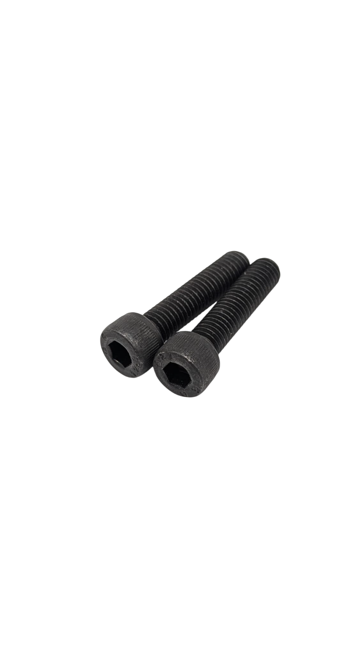 Vis fourche avant (paire) pour trottinette Dualtron