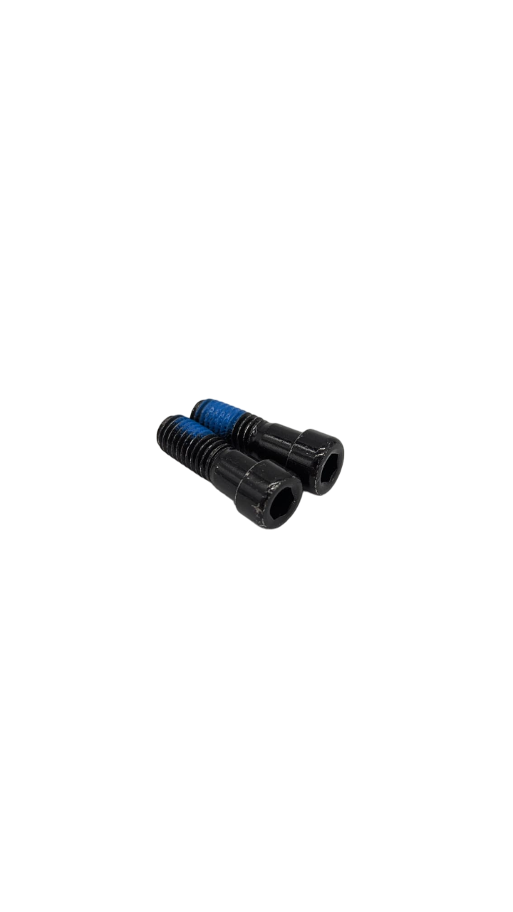 Vis fourche de suspension M8X22 V2 (x2) pour trottinette Dualtron