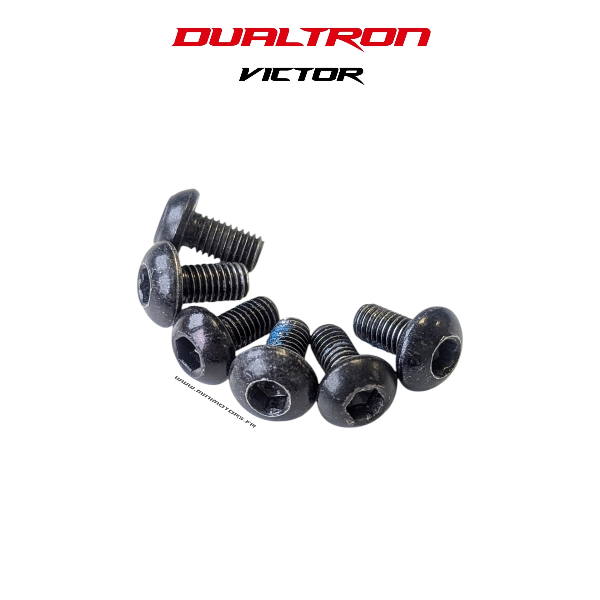 Vis disque de frein (X6) pour trottinette Dualtron