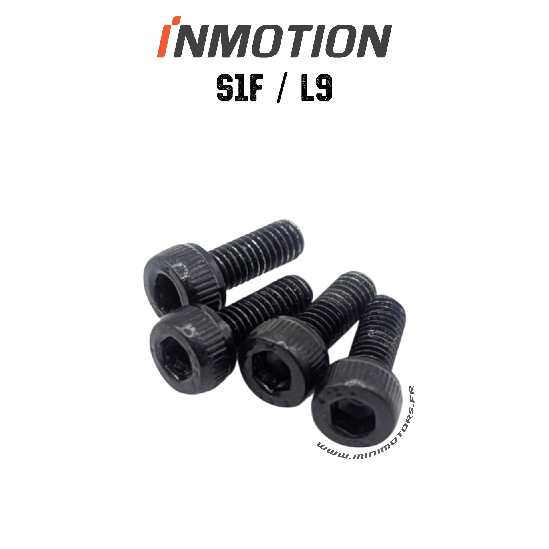 Vis support controleur pour trottinette Inmotion